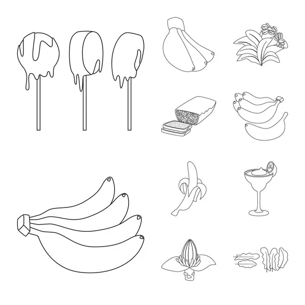 Design vettoriale del simbolo organico e del potassio. Raccolta di stock biologici e dietetici simbolo per il web . — Vettoriale Stock