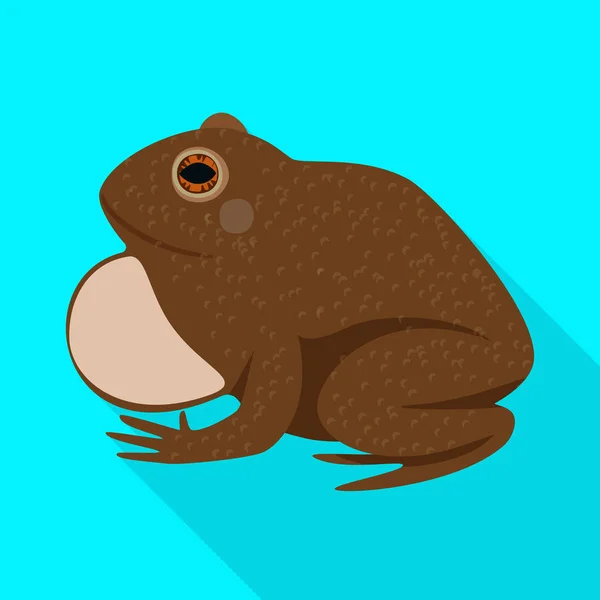 Vector illustratie van Toad en biologie teken. Set van Toad en bruin vector pictogram voor voorraad. — Stockvector