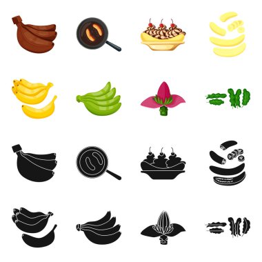 Doğal ve vejetaryen simgesi yalıtılmış nesne. Web için doğal ve yeme hisse senedi simgesi kümesi.