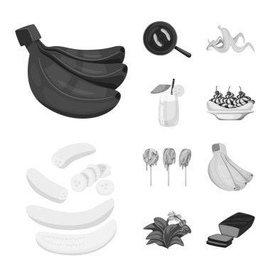 Taze ve diyet sembolü izole nesne. Web için taze ve vejetaryen stok sembolü seti.