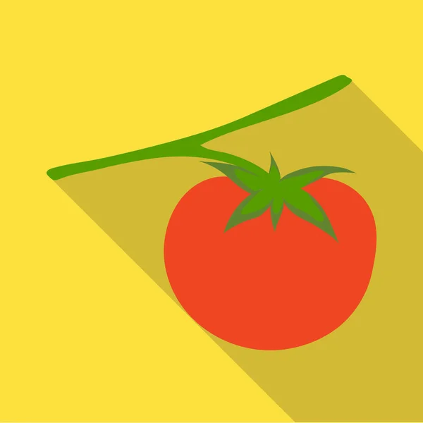 Diseño vectorial de tomate e icono rojo. Conjunto de icono de tomate y vector maduro para stock . — Archivo Imágenes Vectoriales