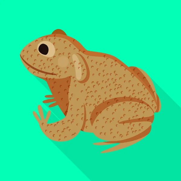 Vector ontwerp van Toad en tropisch symbool. Collectie Toad en ecologie vector pictogram voor voorraad. — Stockvector