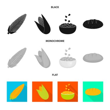 Mısır tarlası ve sebze simgesi yalıtılmış nesne. Mısır tarlası ve vejetaryen hisse senedi simgesi için web topluluğu.