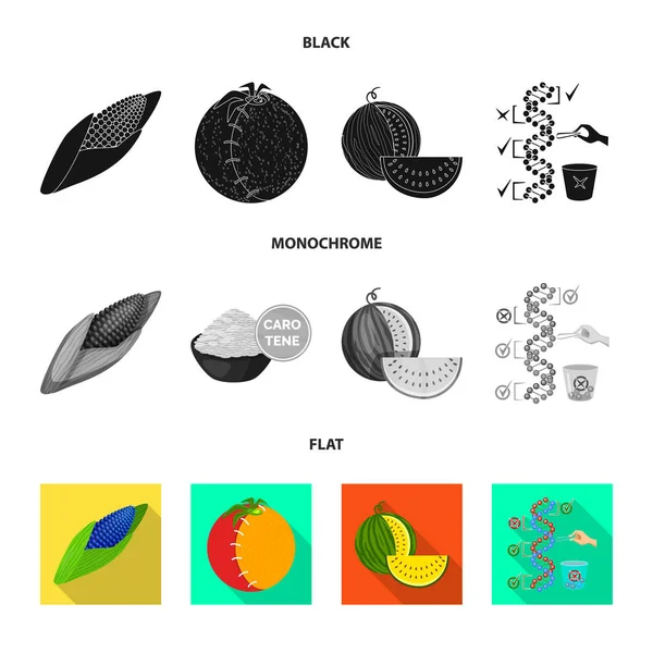 Objeto aislado de prueba y signo sintético. Conjunto de icono de prueba y vector de laboratorio para stock . — Vector de stock