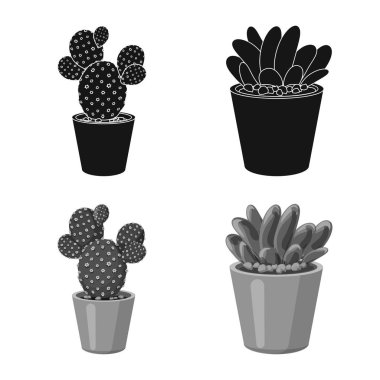Kaktüs ve pot logo vektör tasarımı. Kaktüs ve kaktüsler koleksiyonu vektör hisse senedi simgesi.