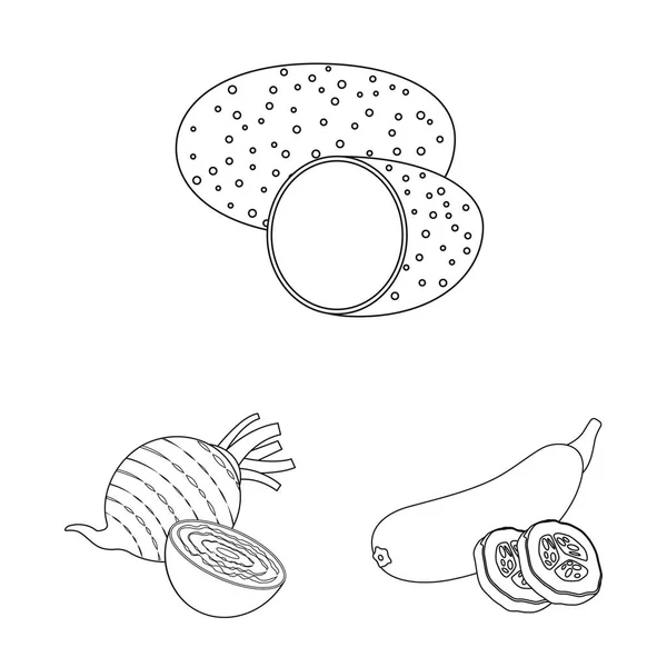 Vektordesign von Gemüse und Obst-Logo. Set von Gemüse und vegetarischen Vektorsymbolen für Brühe. — Stockvektor