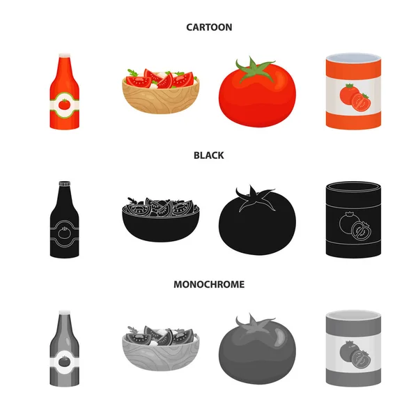 Isoliertes Objekt von Gemüse und köstlichem Logo. Set von Gemüse und natürlichen Vektorsymbolen für Vorrat. — Stockvektor