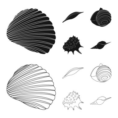 Hayvan ve dekorasyon işareti vektör tasarımı. Hayvan ve okyanus hisse senedi vektör çizim seti.