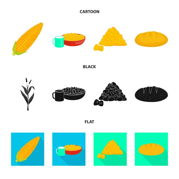 Векторный дизайн кукурузного поля и иконы овощей. Набор вегетарианских вегетарианских векторных икон на складе . — стоковый вектор