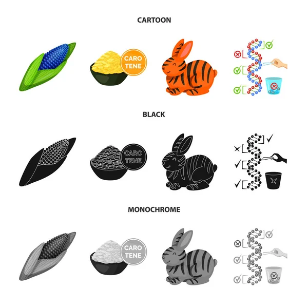 Vector illustration of test and synthetic icon. Set of test and laboratory stock vector illustration. — Stock Vector