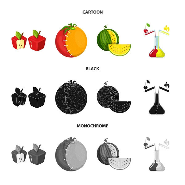 Illustration vectorielle de test et signe synthétique. Jeu d'illustration vectorielle de stock d'essai et de laboratoire . — Image vectorielle