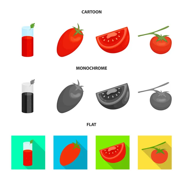 Conception vectorielle de légumes et icône délicieuse. Collection d'icônes vectorielles végétales et naturelles pour stock. — Image vectorielle