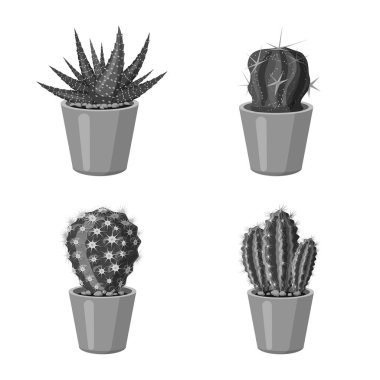 Kaktüs ve pot sembolü yalıtılmış nesne. Kaktüs ve hisse senedi için kaktüsler vektör simge kümesi.