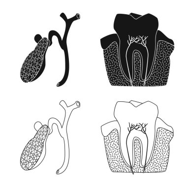 Vücut ve insan logo yalıtılmış nesne. Vücut ve hisse senedi için tıbbi vektör ikon koleksiyonu.
