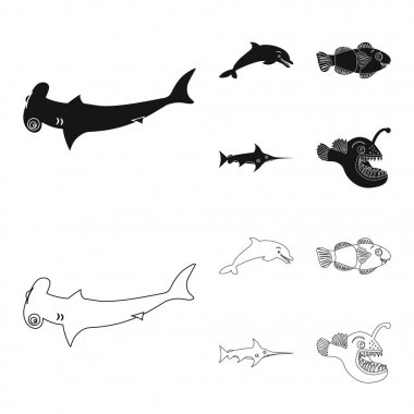 Deniz ve hayvan işaret yalıtılmış nesne. Deniz ve deniz hisse senedi simgesi için web topluluğu.