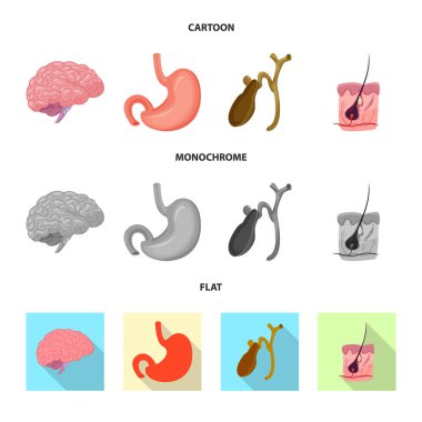 Vücut ve insan simge vektör çizimi. Vücut ve hisse senedi için tıbbi vektör simge kümesi.