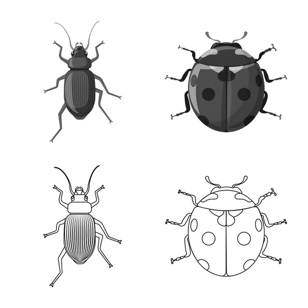 Diseño vectorial del logotipo de insectos y moscas. Colección de insectos y elemento vector icono para stock . — Archivo Imágenes Vectoriales