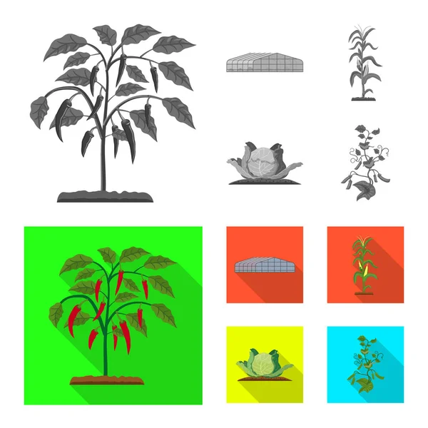 Objet isolé de la serre et symbole de la plante. Ensemble de serre et de jardin stock symbole pour le web . — Image vectorielle