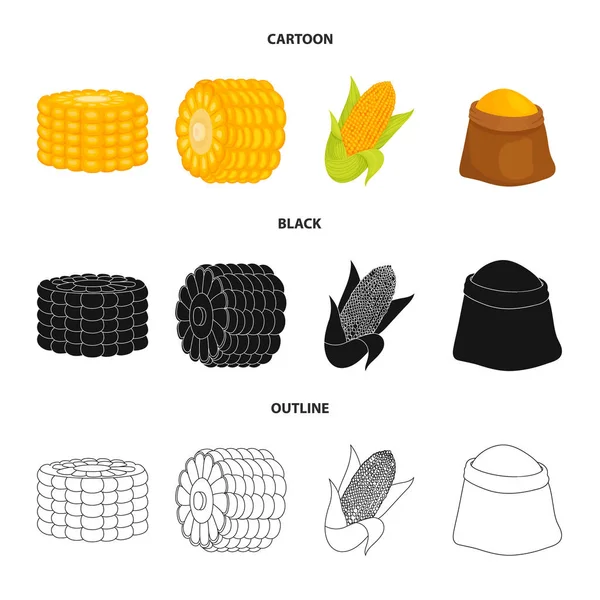 Vektor design av majsfält och vegetabiliska logotyp. Samling av majsfält och vegetarisk vektor ikon för lager. — Stock vektor