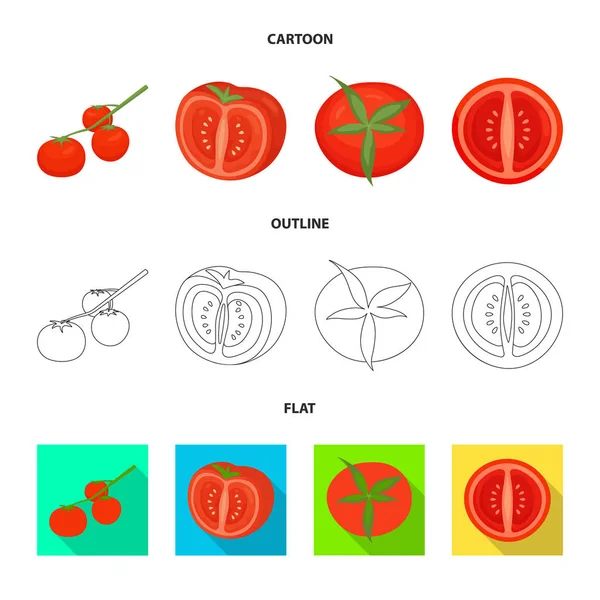 Geïsoleerd voorwerp van plantaardig en heerlijk logo. Verzameling van plantaardige en natuurlijke voorraad vector illustratie. — Stockvector