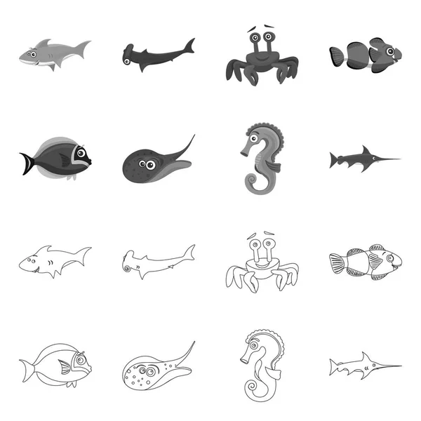 Diseño vectorial de mar y símbolo animal. Colección de símbolo de stock marino y marino para web . — Vector de stock