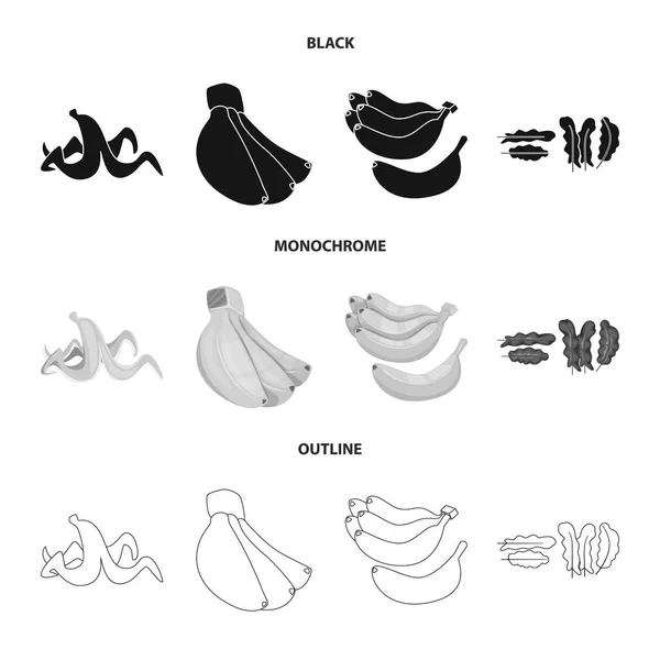 Diseño vectorial de símbolo natural y vegetariano. Conjunto de ilustración de vectores naturales y alimenticios . — Vector de stock