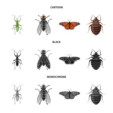 Böcek ve sinek işareti vektör Illustration. Hisse senedi için böcek ve öğe vektör simge kümesi.