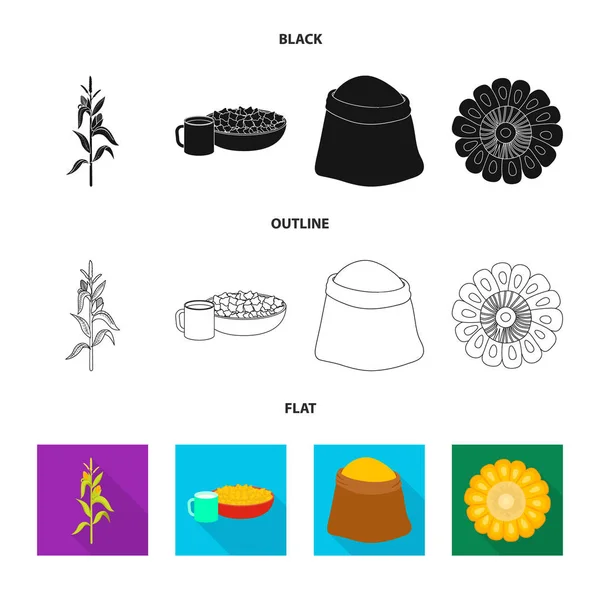 Векторный дизайн кукурузного поля и логотипа овощей. Коллекция кукурузных полей и вегетарианских фондовых символов для интернета . — стоковый вектор
