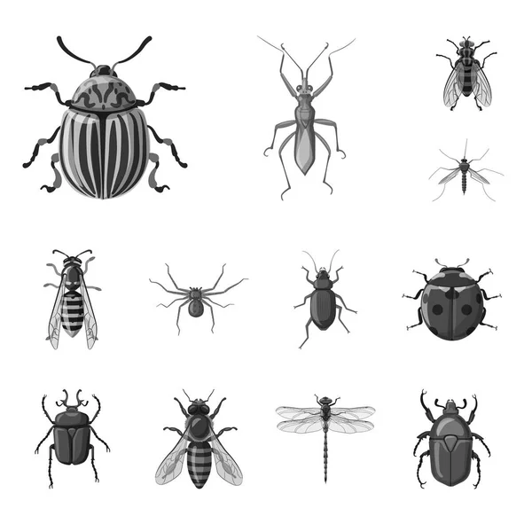 昆虫とフライのシンボルの孤立したオブジェクト。Web 昆虫と要素株式記号のセット. — ストックベクタ