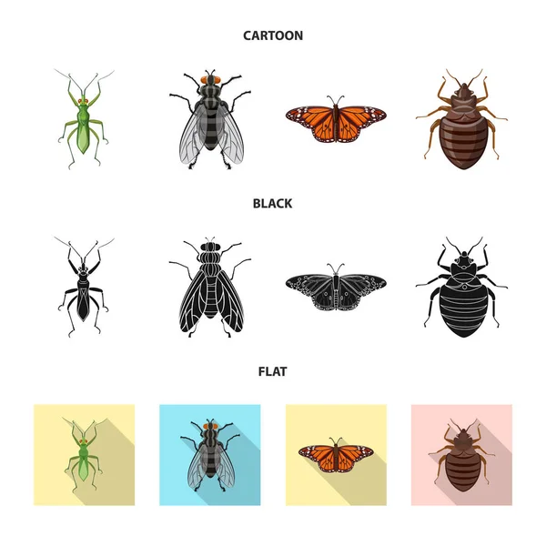 Diseño vectorial del icono de insectos y moscas. Colección de insectos y vector de stock de elementos ilustración . — Vector de stock