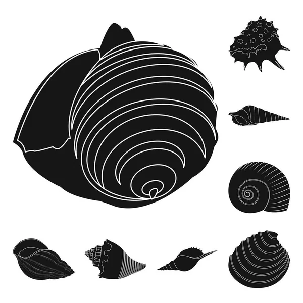 Vector illustratie van de natuur en Oceaan symbool. Collectie van natuur en weekdier vector pictogram voor voorraad. — Stockvector