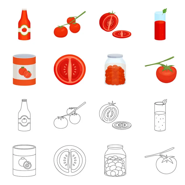 Vector design of vegetable and delicious icon. Collection of vegetable and natural vector icon for stock. — Stock Vector