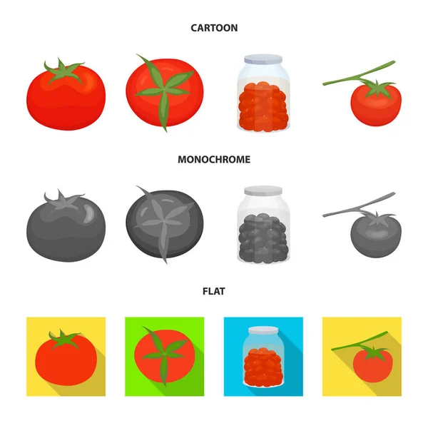 Objet isolé de légumes et délicieux signe. Collection d'icônes vectorielles végétales et naturelles pour stock. — Image vectorielle