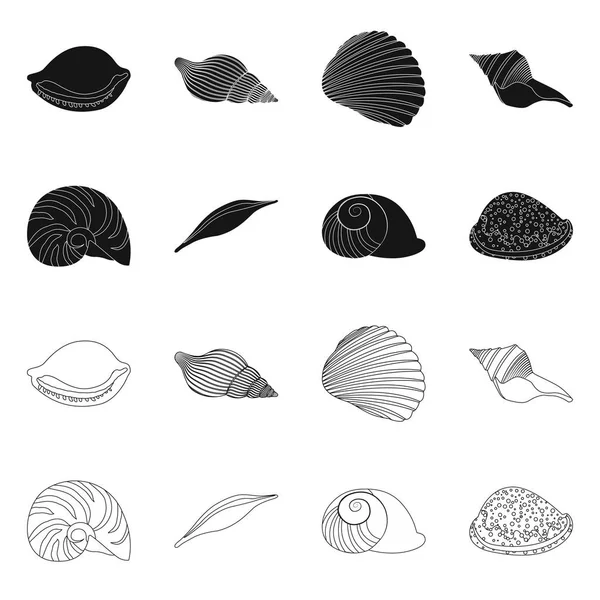 Vectorillustratie van dier en decoratie logo. Set van dier en Oceaan voorraad vectorillustratie. — Stockvector