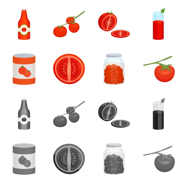 Diseño vectorial de vegetales y delicioso logotipo. Colección de vegetales y símbolo de stock natural para la web . — Archivo Imágenes Vectoriales