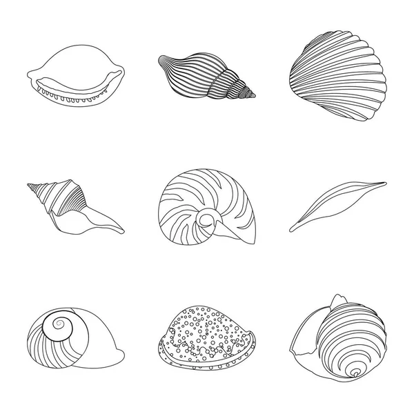 Vector ontwerp van exotische en zeevruchten ondertekenen. Set van exotische en aquatische aandelensymbool voor web. — Stockvector