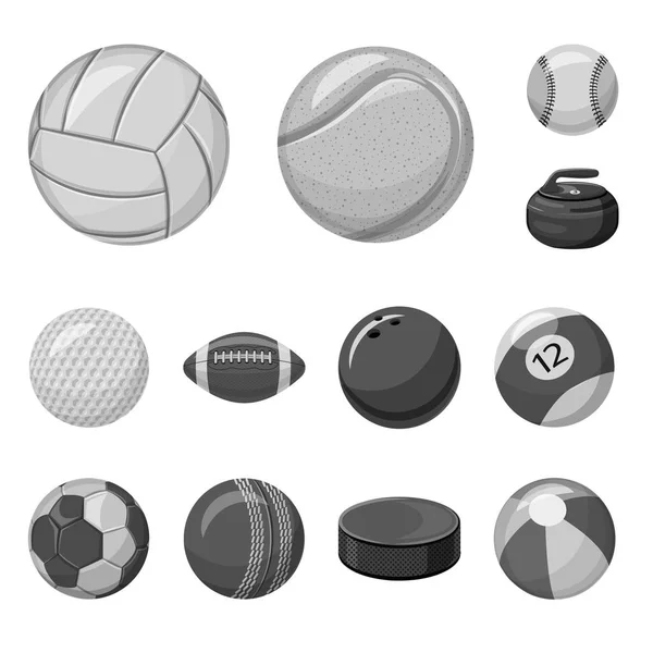 Diseño vectorial del logo del deporte y la pelota. Conjunto de deporte y símbolo de stock atlético para web . — Vector de stock
