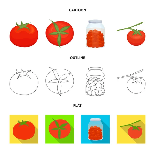 Izolovaný objekt zeleniny a lahodné znamení. Kolekce vegetariánského a přírodního stock vektoru. — Stockový vektor