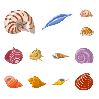 Deniz kabuğu ve yumuşakça sembolüvektör illüstrasyon. Stok için deniz kabuğu ve deniz ürünleri vektör simgesi koleksiyonu.