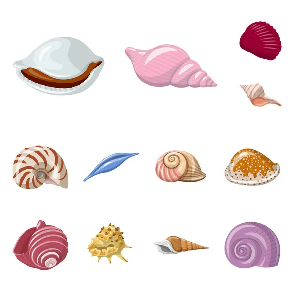 Geïsoleerde object van Seashell en mollusk logo. Verzameling van schelp en zeevruchten vector icoon voor voorraad. — Stockvector