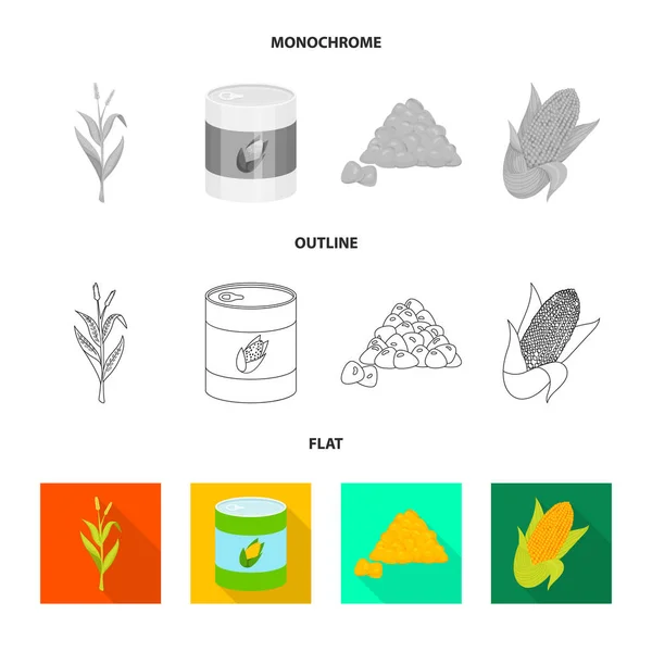 Objeto isolado de campo de milho e logotipo vegetal. Conjunto de milho e vegetariano ilustração do vetor de estoque . — Vetor de Stock