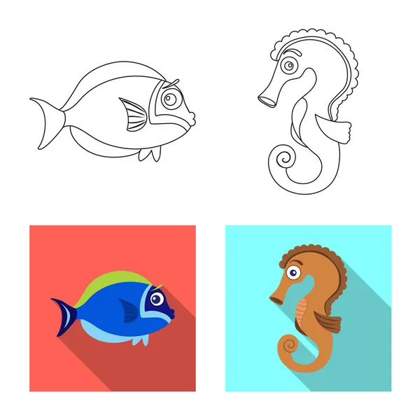 Objeto aislado de mar y signo animal. Conjunto de símbolo de stock marino y marino para web . — Vector de stock