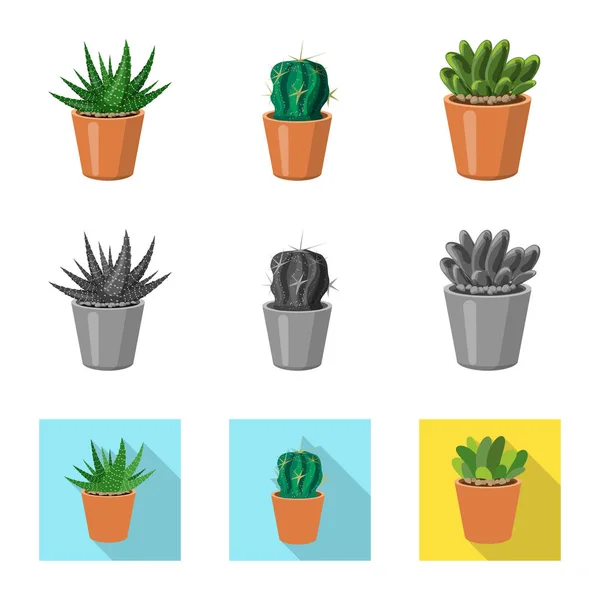 Oggetto isolato di cactus e simbolo del vaso. Set di cactus e cactus stock symbol per web . — Vettoriale Stock
