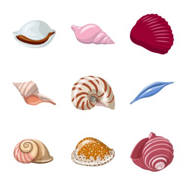 Deniz kabuğu ve yumuşakça logosu vektör tasarımı. Stok için deniz kabuğu ve deniz ürünleri vektör simgesi koleksiyonu.