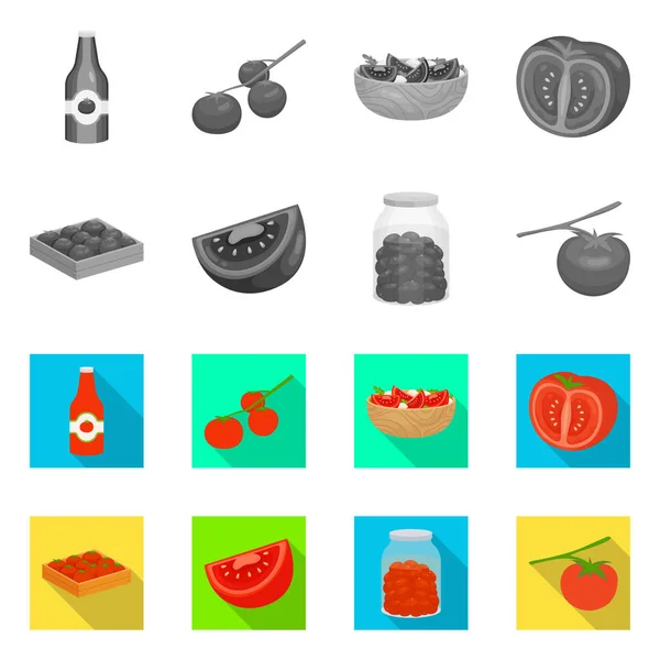 Vektorillustration von Gemüse und köstlichen Symbolen. Sammlung von pflanzlichen und natürlichen Aktiensymbolen für das Web. — Stockvektor