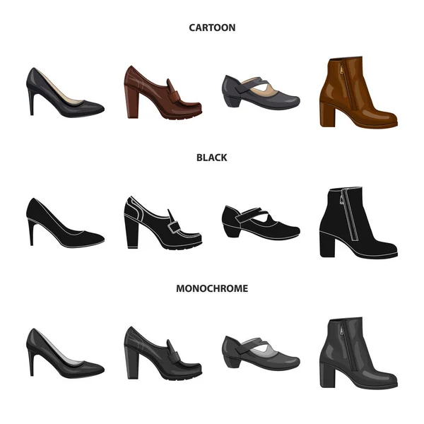 Objet isolé de chaussures et icône femme. Ensemble de chaussures et symbole de stock de pied pour la toile . — Image vectorielle