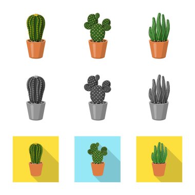 Kaktüs ve pot simgesi yalıtılmış nesne. Kaktüs ve kaktüsler koleksiyonu stok web simgesi.