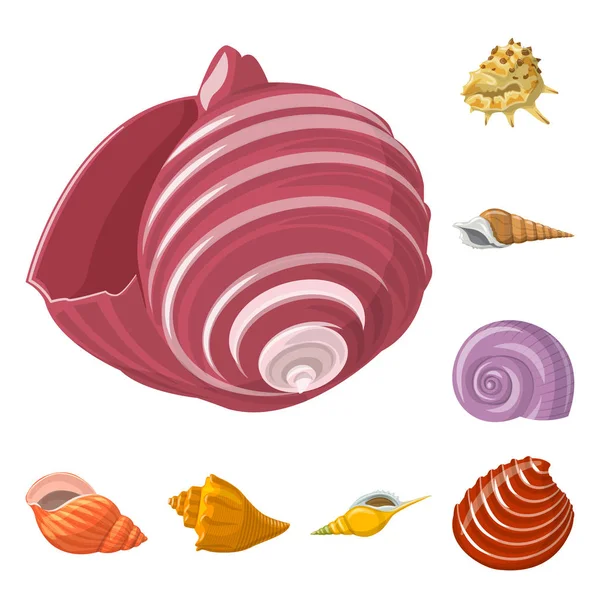 Vector design of seashell and mollusk symbol. Set of seashell and seafood  stock vector illustration. — Stock Vector