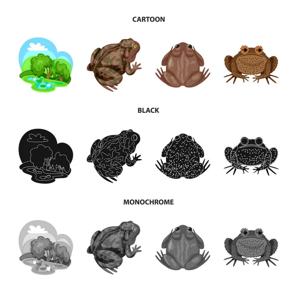 Векторный дизайн дикой природы и болотного знака. Коллекция векторных значков дикой природы и рептилий для инвентаря . — стоковый вектор