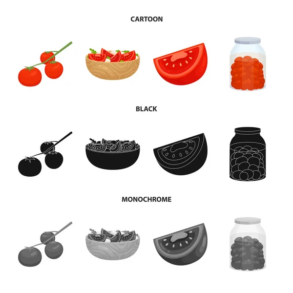Vektordesign von Gemüse und köstlichem Logo. Set pflanzlicher und natürlicher Vektorsymbole für Vorrat. — Stockvektor